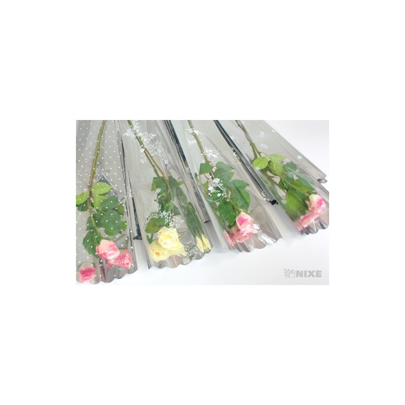 1/50 MTP OBAL*STŘÍBRNÁ