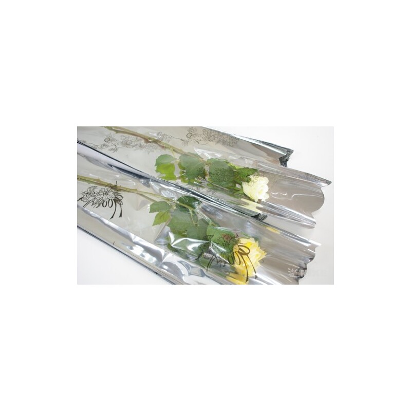 1/50 MTP OBAL*STŘÍBRNÁ