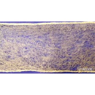 W013 STUHA 60mmx10m*BÍLÁ C00