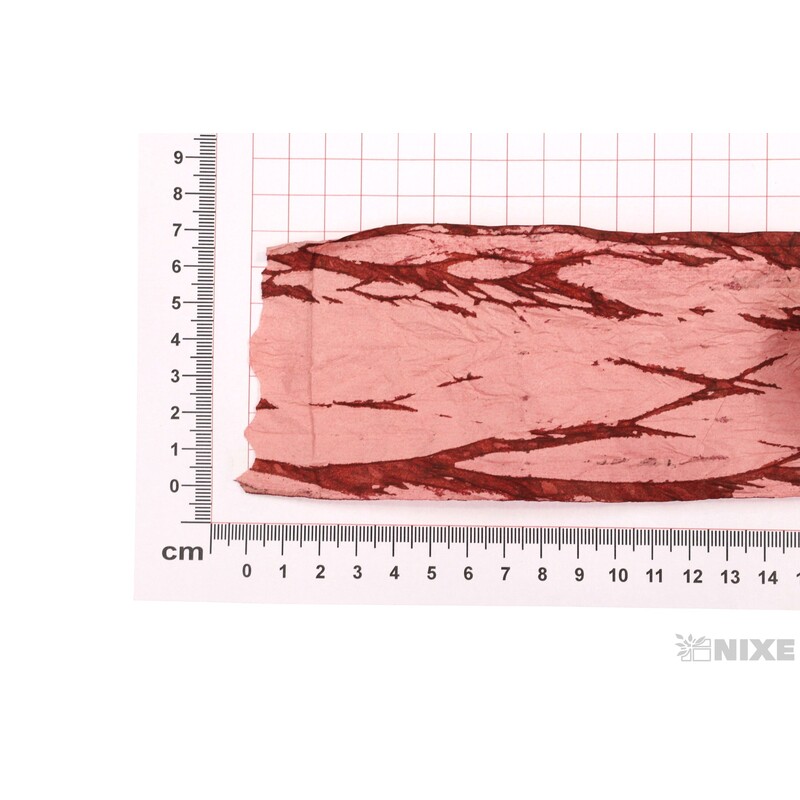 PL PAPÍROVÁ 80mmx10m