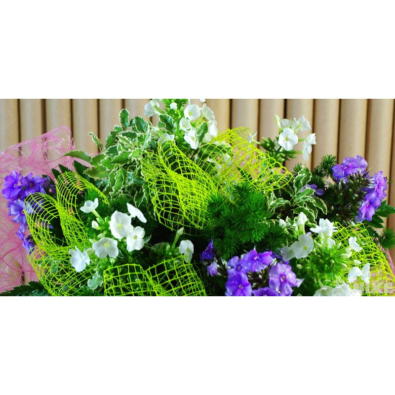 PL SÍŤKA 100mmx10m*MIX BAREV