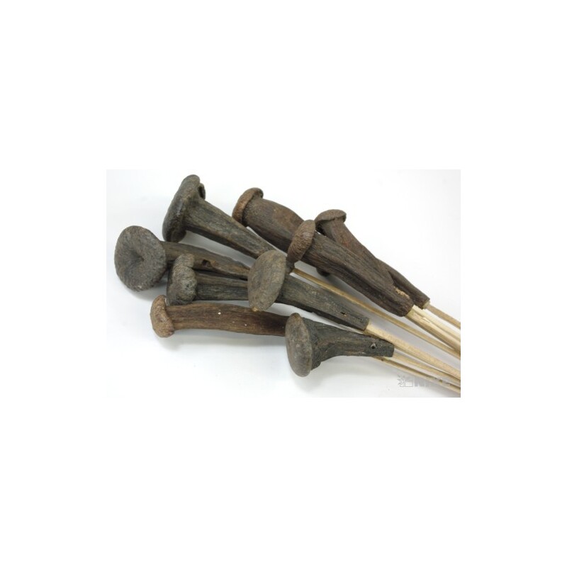 PREGO SERU*PŘÍRODNÍ 010 V+