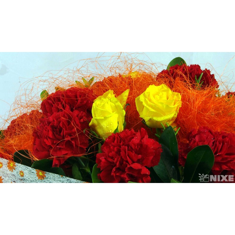 SISAL GRANEL 1kg*ORANŽOVÁ C05