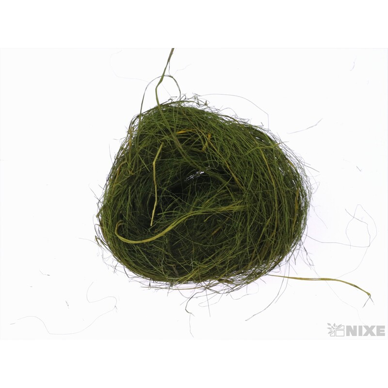 SISAL NS01 100g*OLIVOVÁ C16