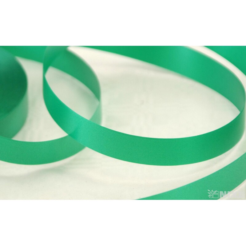 SPLENDENE 19mmx100m*ZELENÁ 13