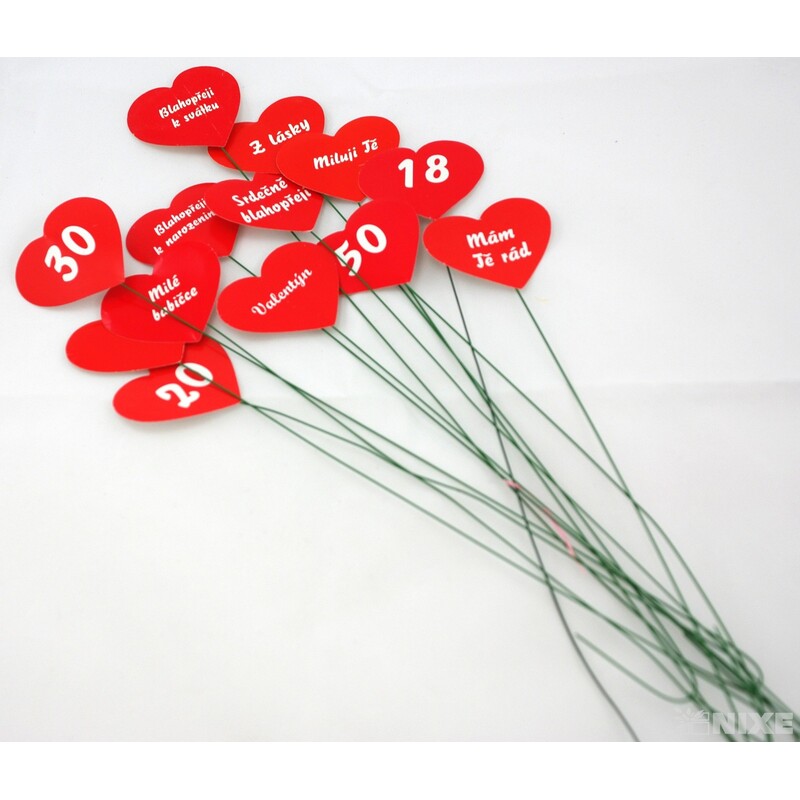 SRDÍČKO NA DRÁTKU*