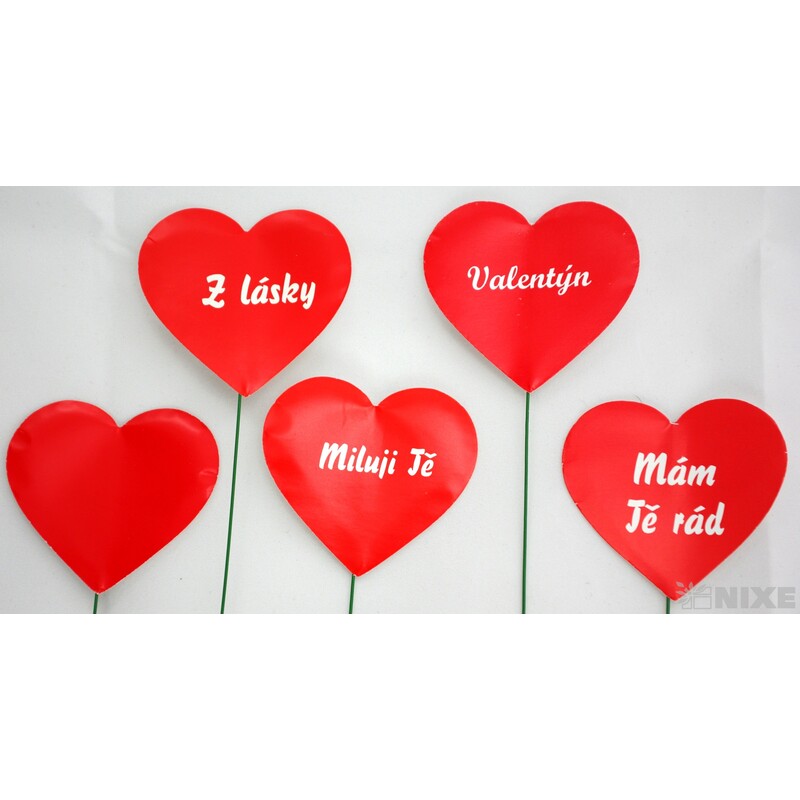 SRDÍČKO NA DRÁTKU*