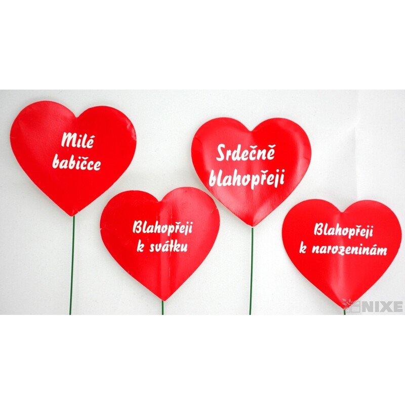 SRDÍČKO NA DRÁTKU*