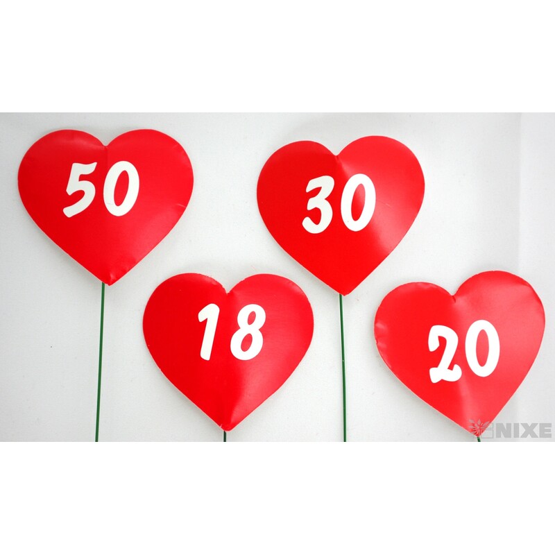 SRDÍČKO NA DRÁTKU*