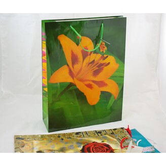 TAŠKA LAMIN V MIX 44x32x10cm*