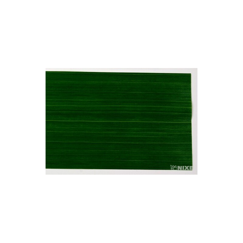 ASPID DECOR 103x380mm 50ks*ZELENÁ SV. 13