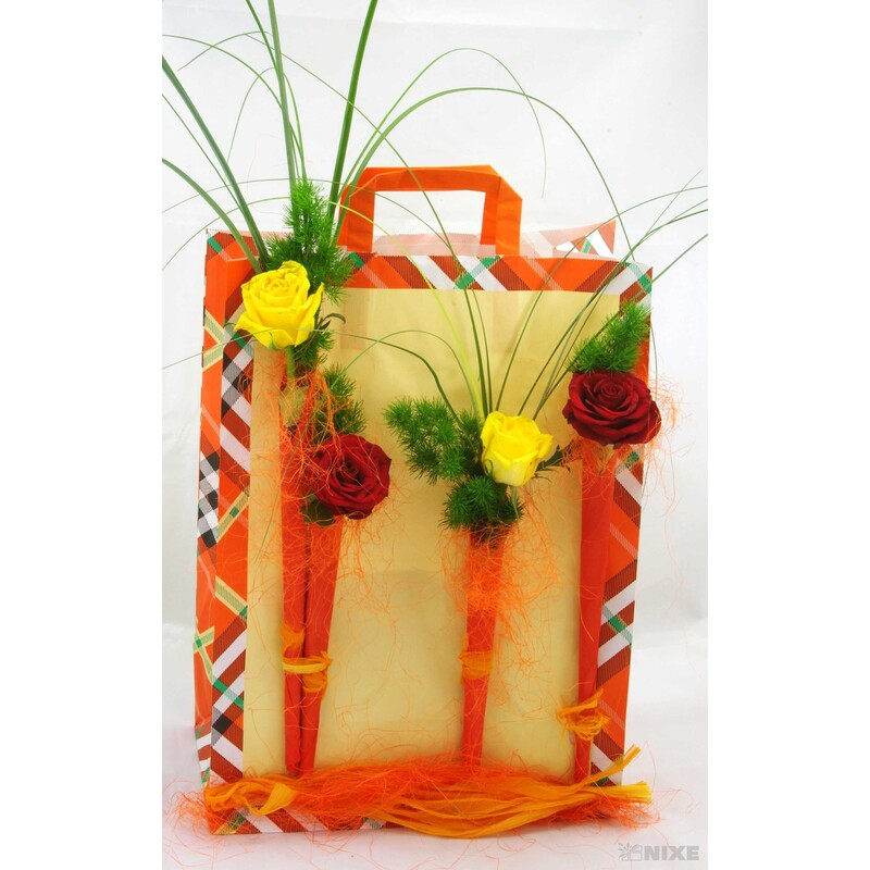 TC ASCOT 27x37x12cm*ORANŽOVÁ V+