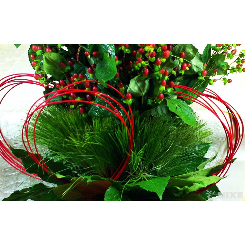 RATTAN STRAIGHT 2mmx160cm*ČERVENÁ 540 V+