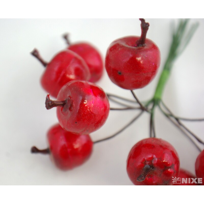 JABLKA 2x13cm 10ks 12sv*ČERVENÁ