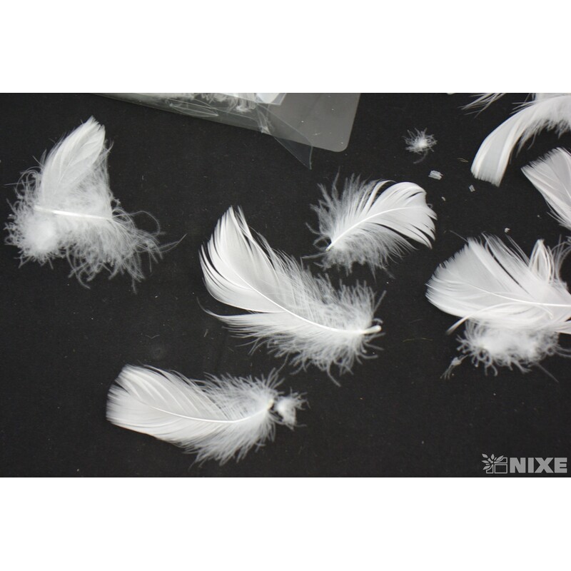 PEŘÍČKA BOX 15gr. cca 250ks*BÍLÁ C00