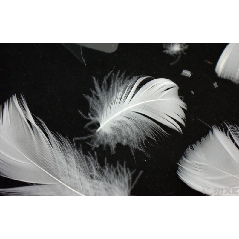 PEŘÍČKA BOX 15gr. cca 250ks*BÍLÁ C00