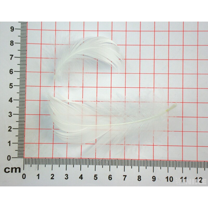 PEŘÍČKA BOX 15gr. cca 250ks*BÍLÁ C00