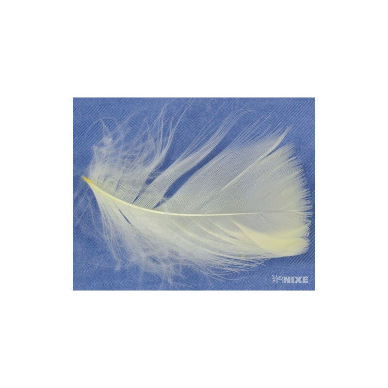 PEŘÍČKA BOX 15gr. cca 250ks*ŽLUTÁ SV. C02