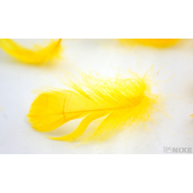 PEŘÍČKA BOX 15gr. cca 250ks*ŽLUTÁ TM. C04