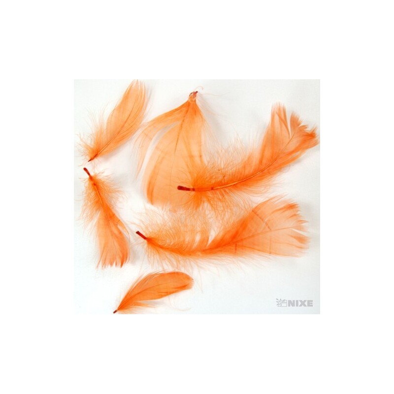 PEŘÍČKA BOX 15gr. cca 250ks*LOSOSOVÁ C08