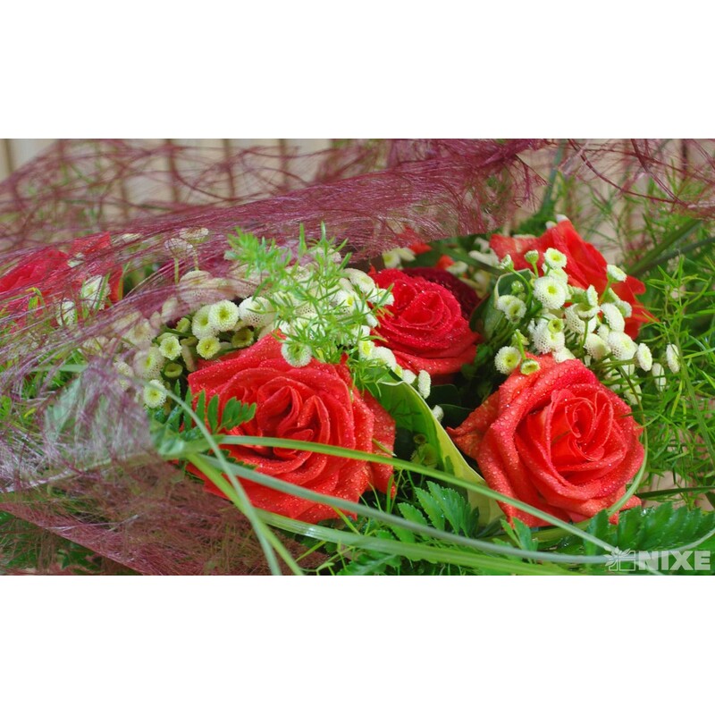 SIZOWEB 60cmx25m*VÍNOVÁ 3580 V+