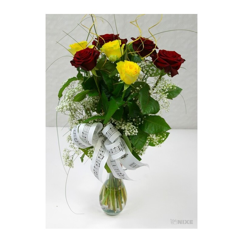 STUHA NOTY 40mmx20m*BÍLÁ V+