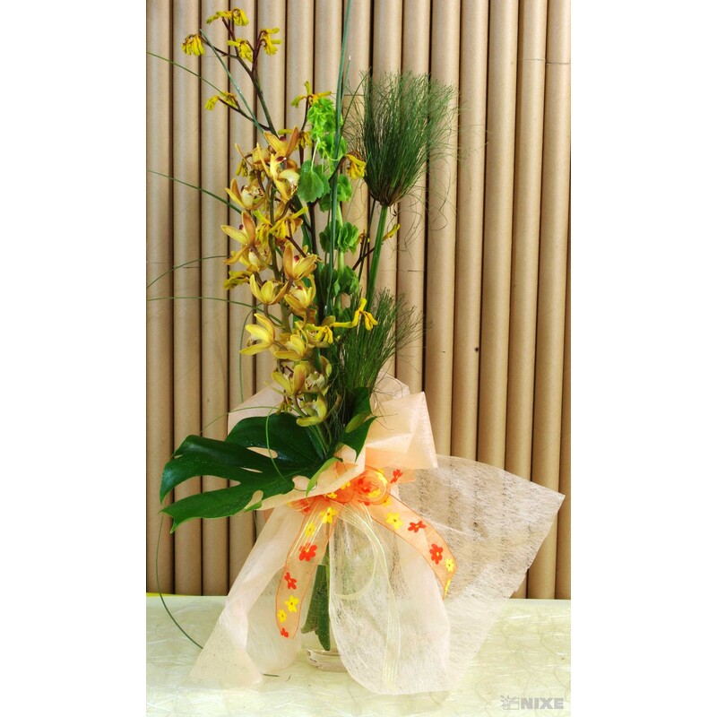 T052 ROLE 50cmx10yd*LOSOS SV. V+