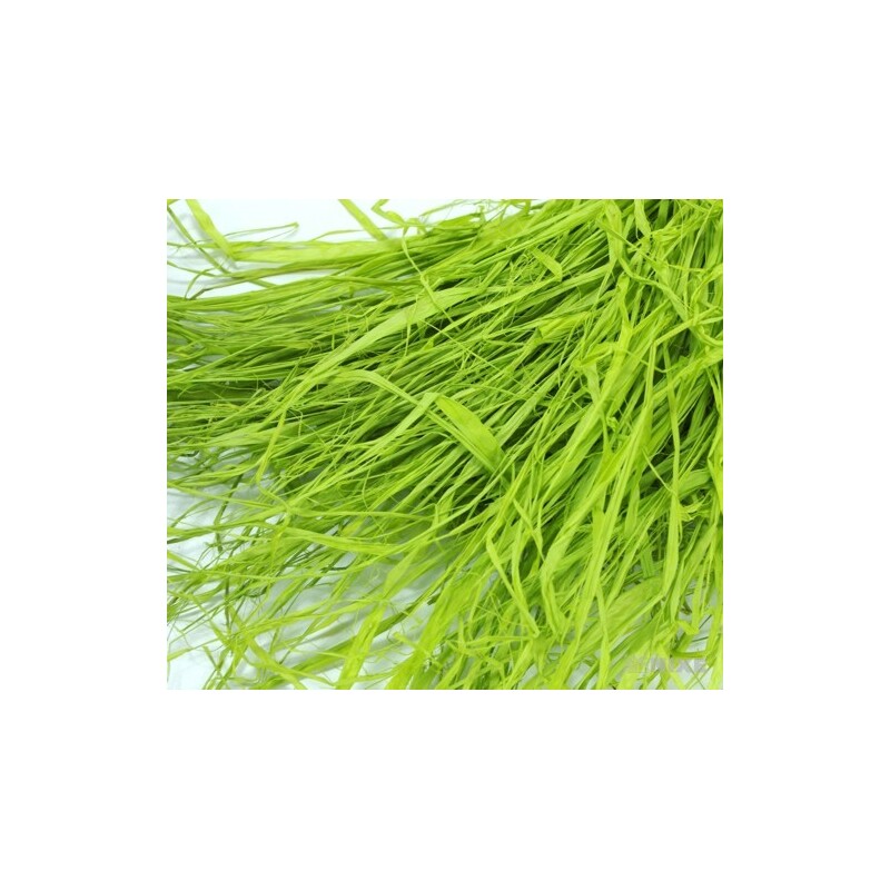 RAFIA*ZELENÁ SV. 121P