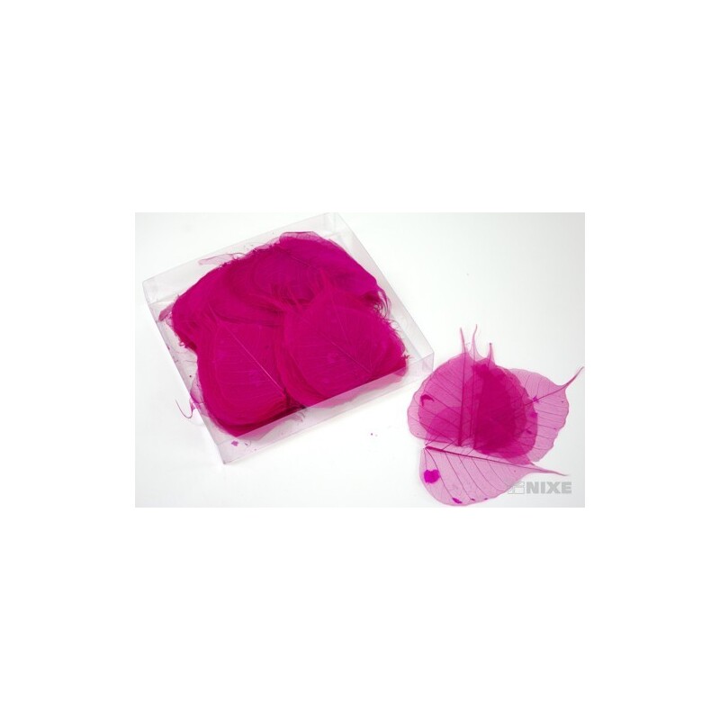 SKELETON LEAVES BAYAN*RŮŽOVÁ TM.