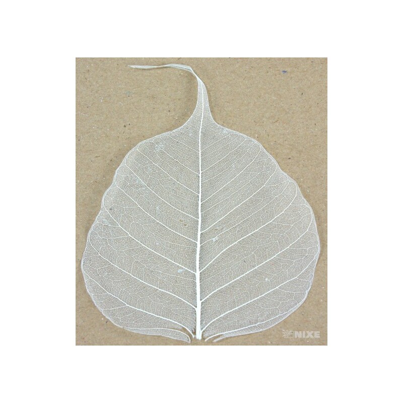 SKELETON LEAVES BAYAN*BÍLÁ