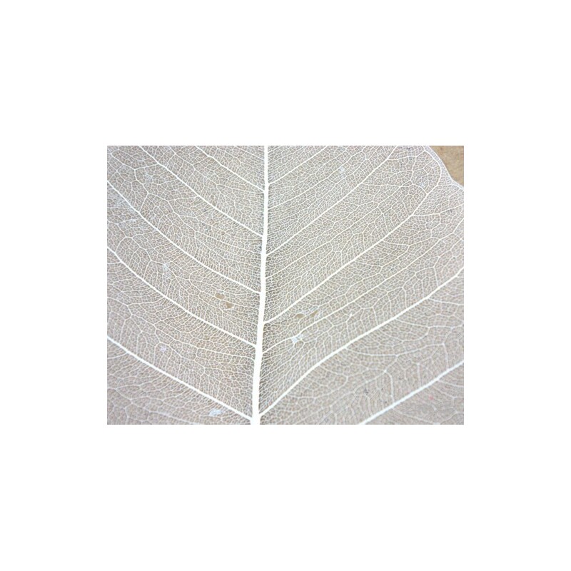 SKELETON LEAVES BAYAN*BÍLÁ