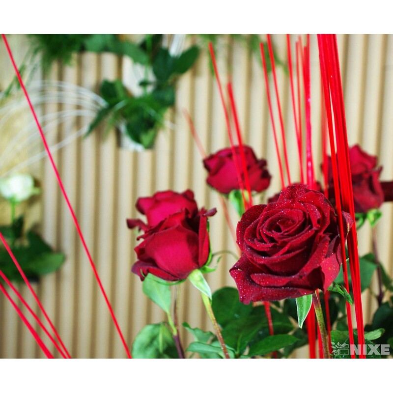 RATTAN MIDOLLINO 1,5mm 250g*ČERVENÁ N010