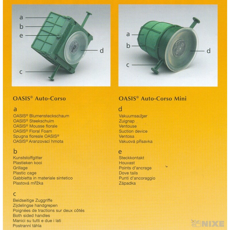 OASIS AUTOCORSO 11x11x9cm