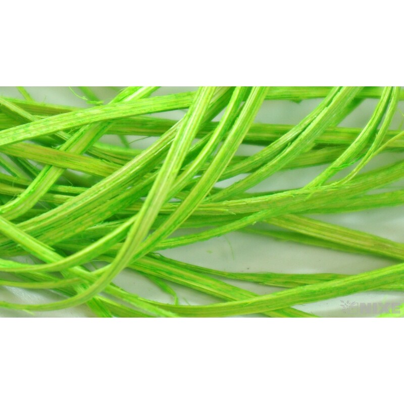 PODLOŽKA HNÍZDO RÉVA SET 3ks*PŘÍRODNÍ