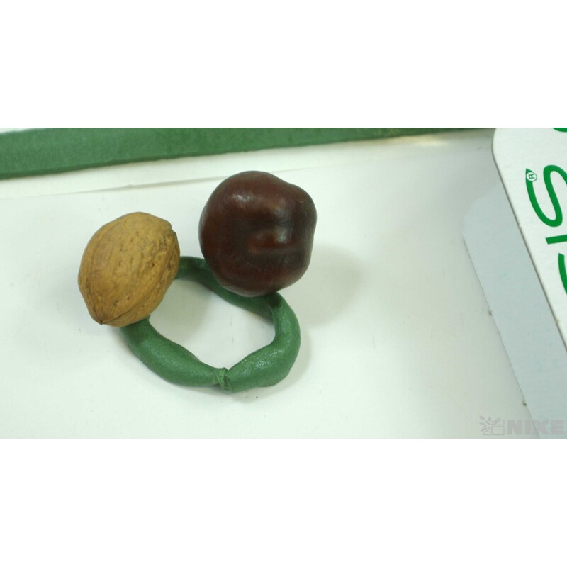 PÁSKA KAUČUKOVÁ 10mmx5m*ZELENÁ 6010