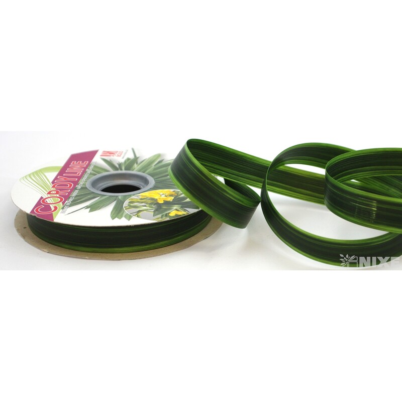 CORDY LINE 20mmx100m*ZELENÁ TM. 54