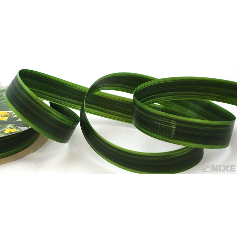 CORDY LINE 20mmx100m*ZELENÁ TM. 54