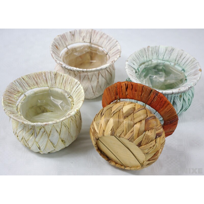 KVĚTNÍK ŠUSTÍ BAŇATÝ 10x10cm*MIX BAREV