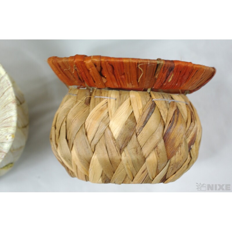 KVĚTNÍK ŠUSTÍ BAŇATÝ 10x10cm*MIX BAREV