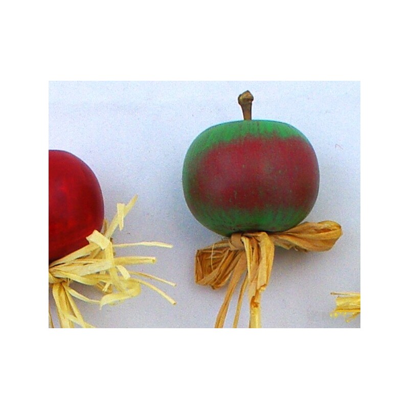 ZÁPICH JABLÍČKO 12ks 3x23cm*MIX BAREV