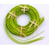 RATTAN MONDOL. 1,75mm*ZELENÁ