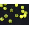 KORÁLKY DUHA 10mm cca 90ks*ŽLUTÁ TM.