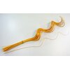 CURLY WILLOW HALF 60cm*ORANŽOVÁ TM.
