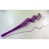 CURLY WILLOW HALF 80cm*FIALOVÁ