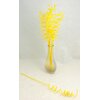 PEDIG SPIRÁLA 40cm 10ks*ŽLUTÁ