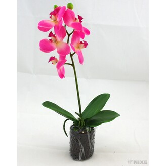 ORCHIDEA 33cm*RŮŽOVÁ