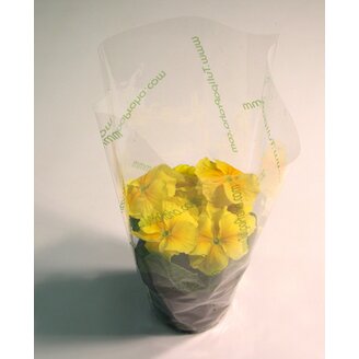 OBAL K 25x11x30cm TT Z+*PRŮHLEDNÁ