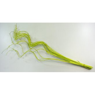 CURLY WIL. KORÁLKY 60cm*ZELENÁ SV