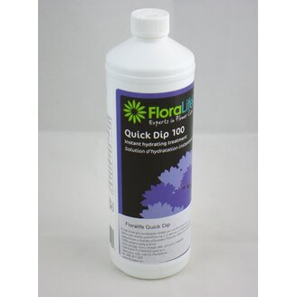 QUICK DIP STARTÉR PRO REVITALIZACI KVĚTIN 1000ml