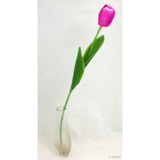 TULIPÁN 7x63cm*FIALOVÁ